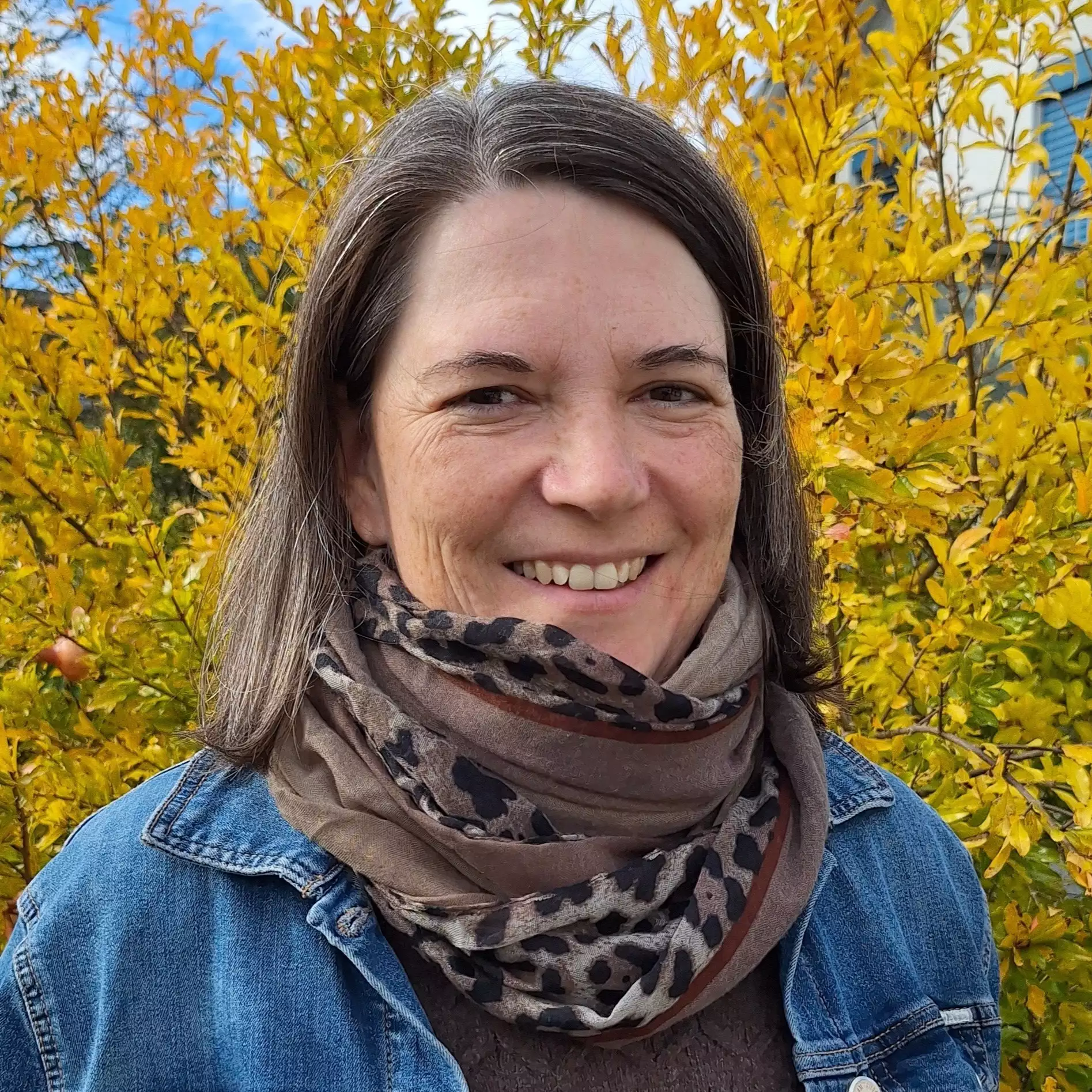 Eine Schülerklasse im Klassenzimmer vor aufgeschlagenem Lehrbuch